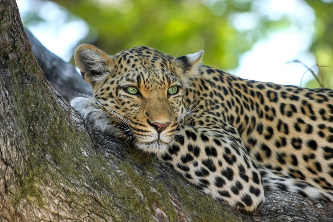 Tsavo East 3-Day Safari 2