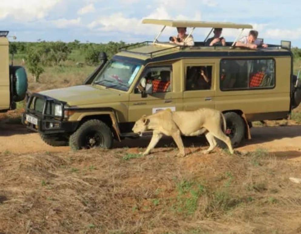 TripBambika Kenya travel experience