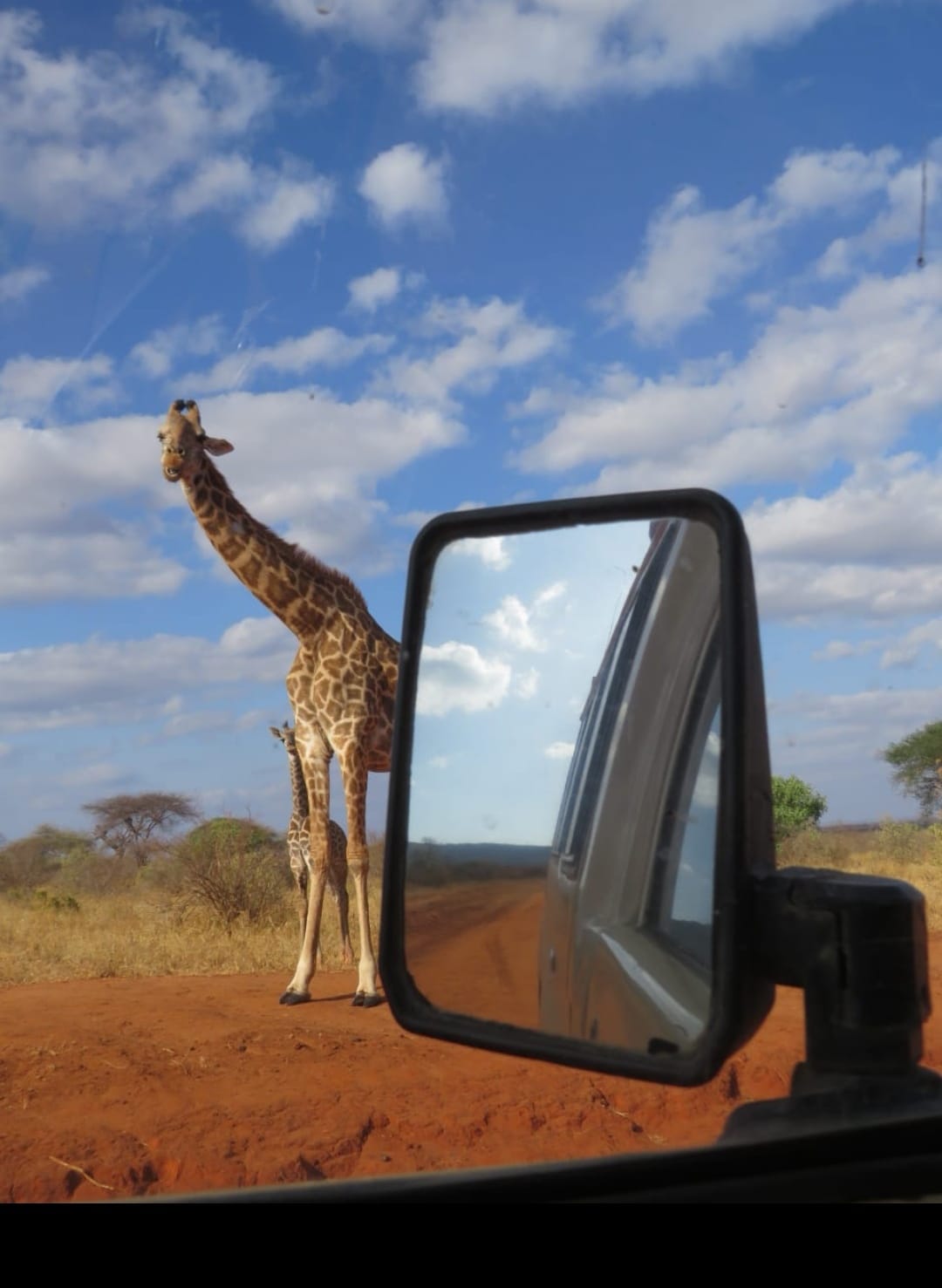 TripBambika Kenya travel experience
