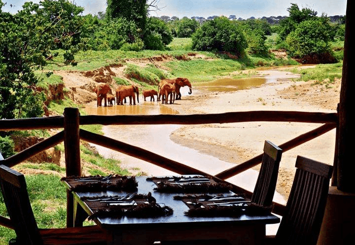 TripBambika Kenya travel experience