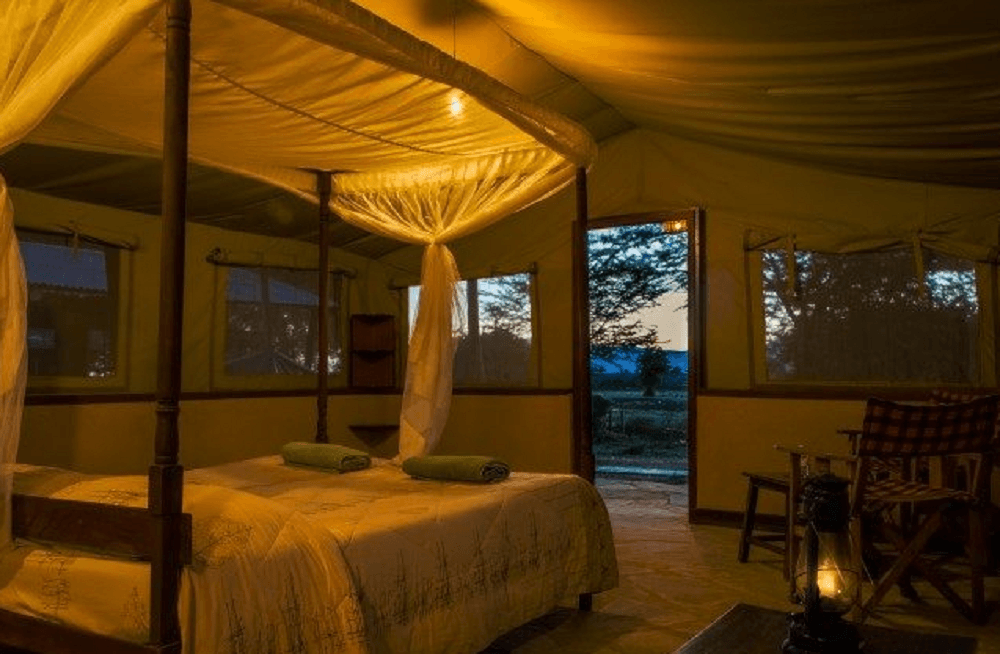 TripBambika Kenya travel experience