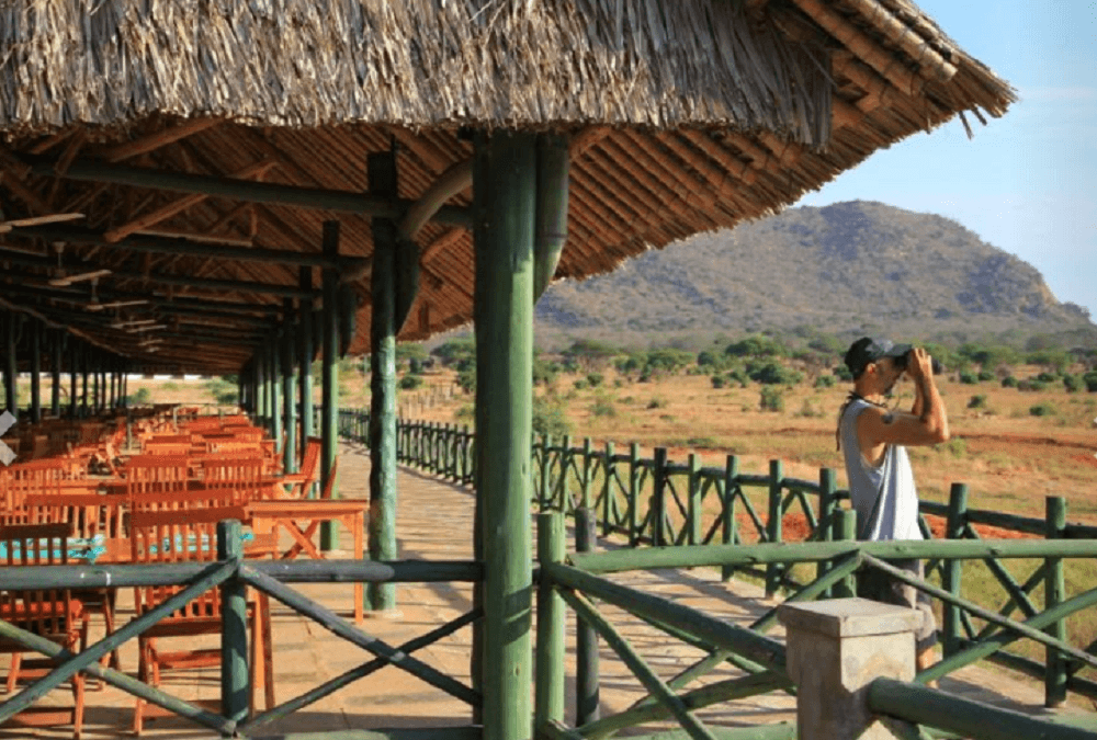 TripBambika Kenya travel experience