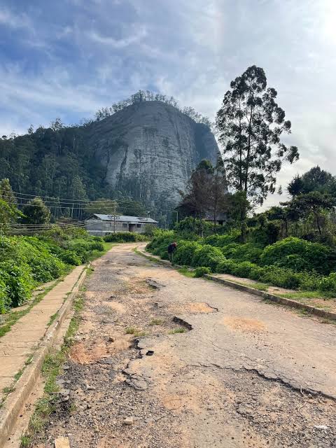 Taita Taveta Vuria Hill Full-Day Tour 5
