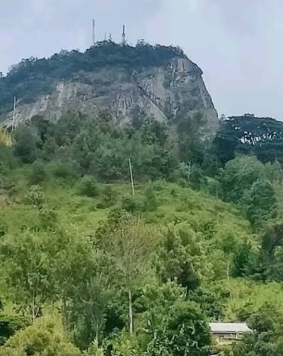 Taita Taveta Vuria Hill Full-Day Tour 2