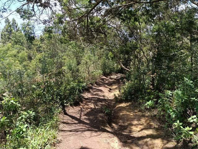 Taita Taveta Vuria Hill Full-Day Tour 4