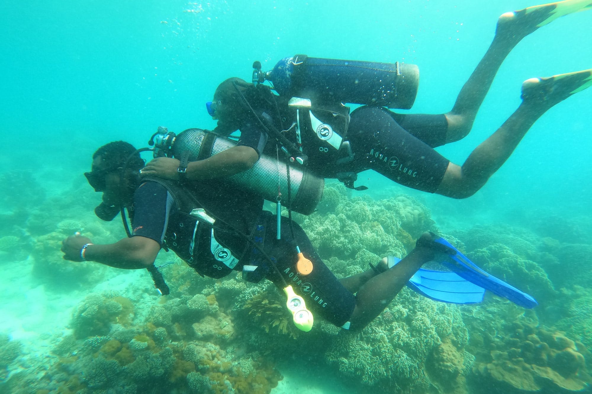 Kenyan coast experience with TripBambika