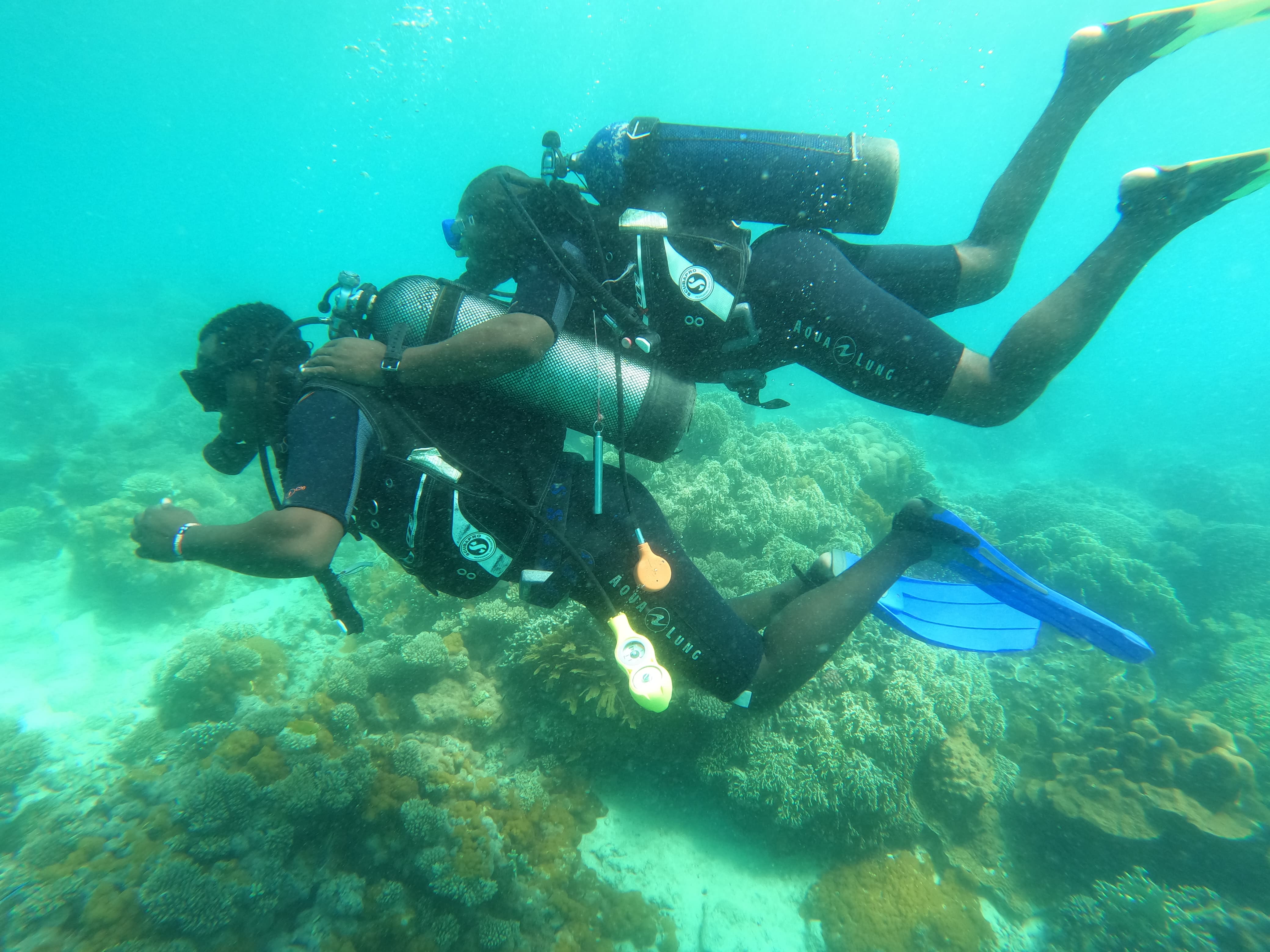 Wasini Island & Kisite-Mpunguti Marine Safari 3